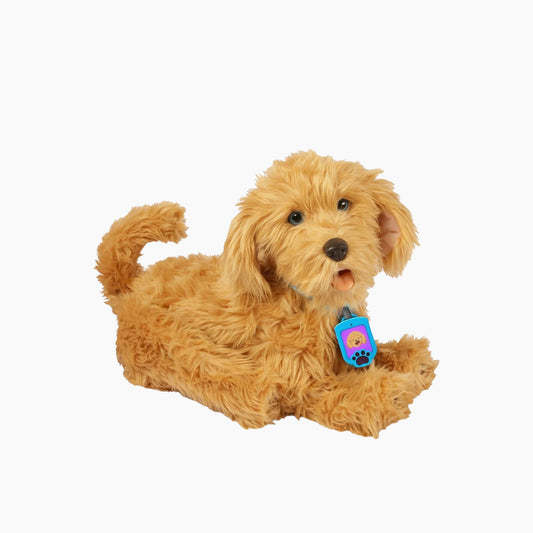 Moji The Lovale Laradoodle