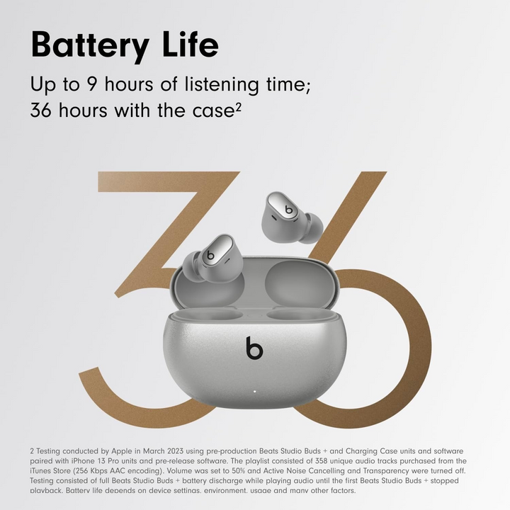 Beats Apple Studio Buds Cosmic - Silver