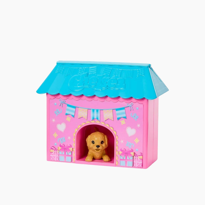 Barbie Club Chelsea Birthday Surprise Doll and Accessories