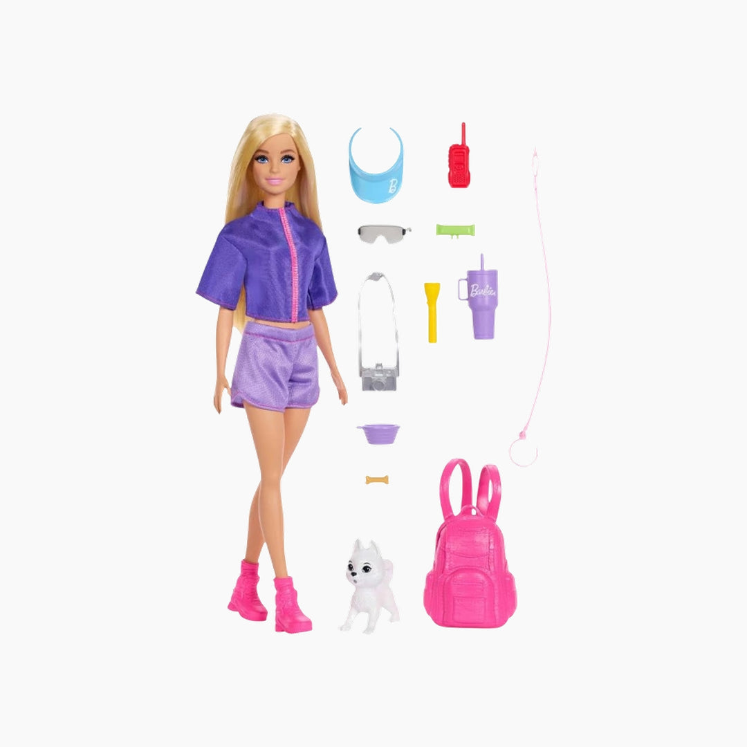 Barbie Family &amp; Friends Barbie “Malibu" Doll and Accessories