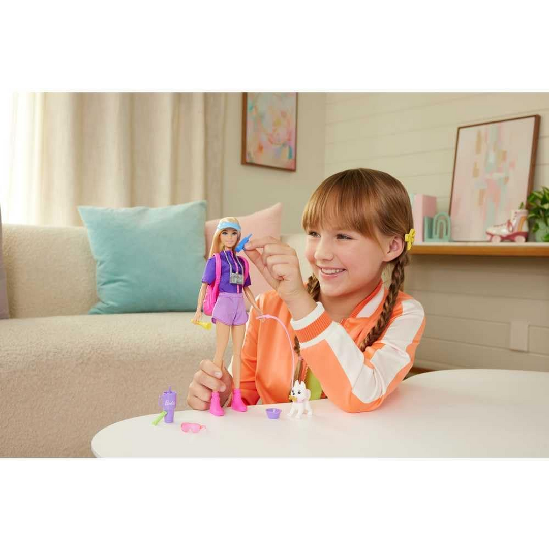 Barbie Family &amp; Friends Barbie “Malibu" Doll and Accessories