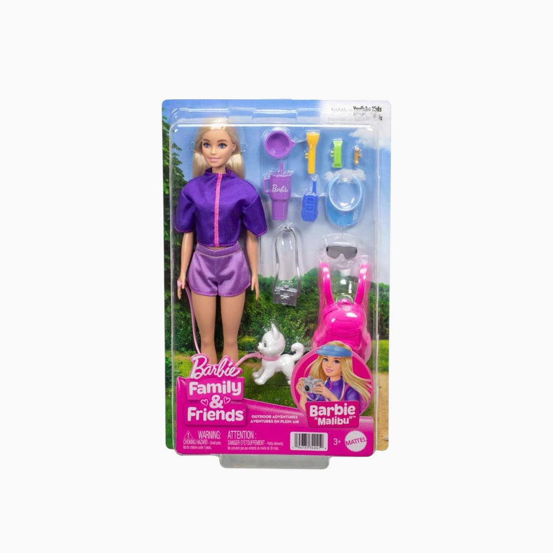Barbie Family &amp; Friends Barbie “Malibu" Doll and Accessories
