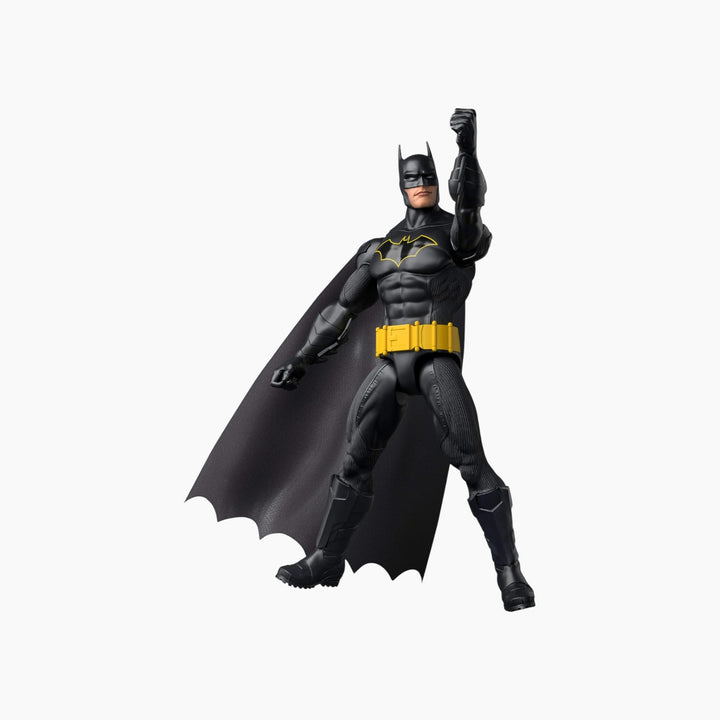 DC Universe Premiere Batman Action Figure