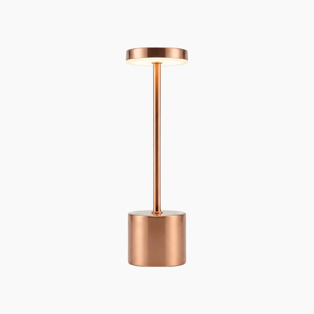 Necessary Light Modern Minimalist LED Table Lamp