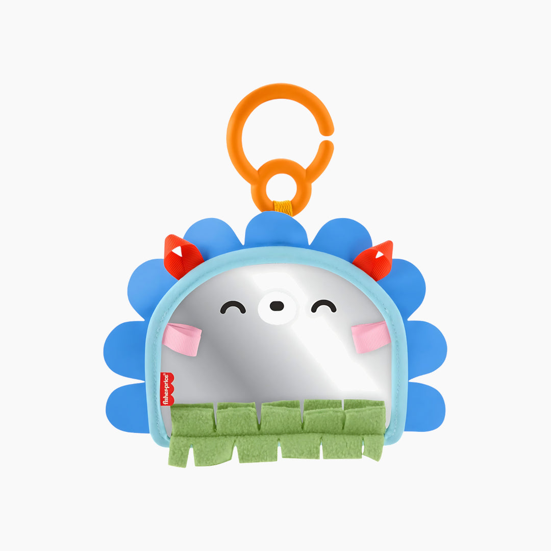 Fisher-Price 2-in-1 OTG Mirror