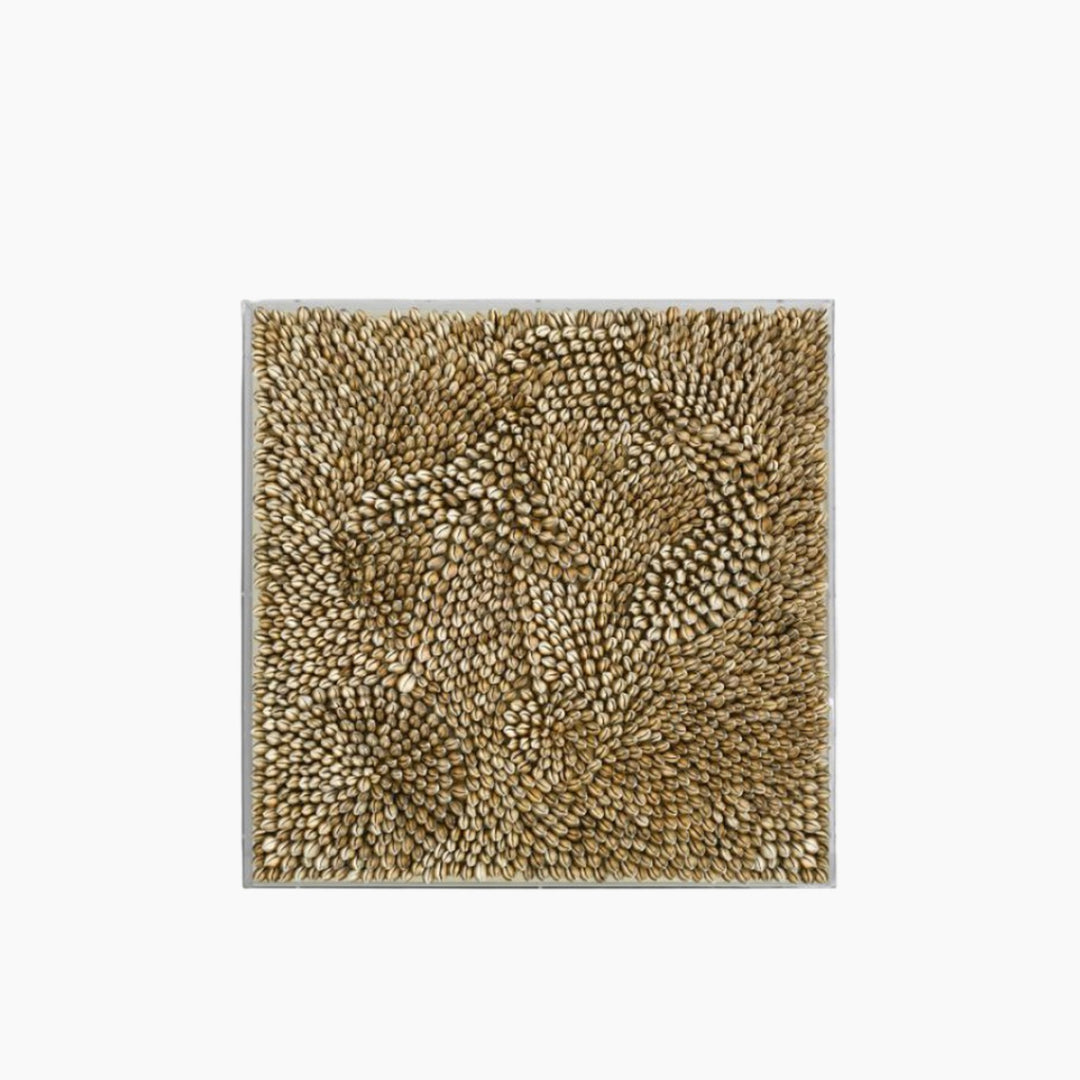 Seashell Inner Art Acrylic Box - 80 × 80 × 5 cm