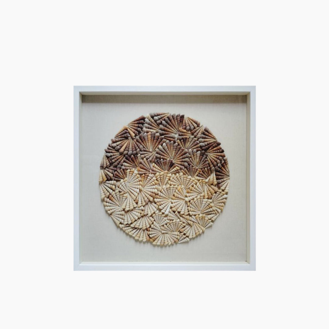Seashell Inner Art Wall Décor with Polystyrene Frame &amp; Glass 2023688 - 80 × 80 × 5 cm