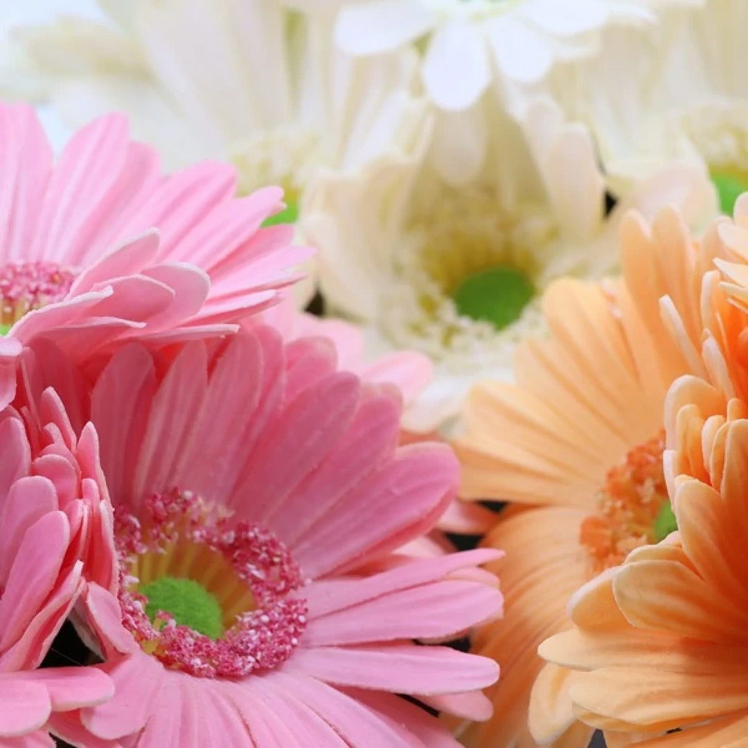 Nova Home Gerbera Artificial Flower Arrangement