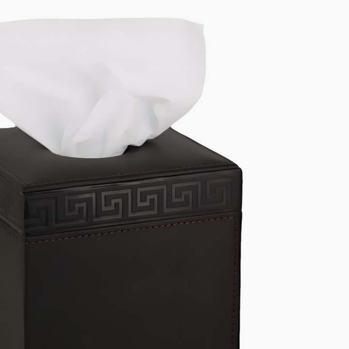 Nova Home Versace Square Leather Tissue Box