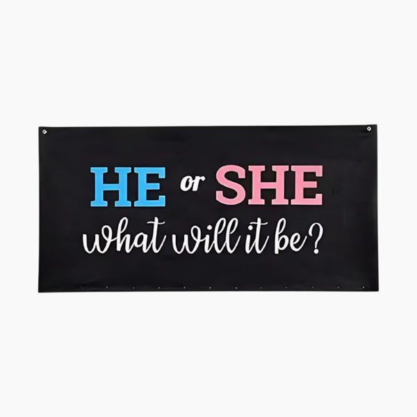 Gender Reveal Bag