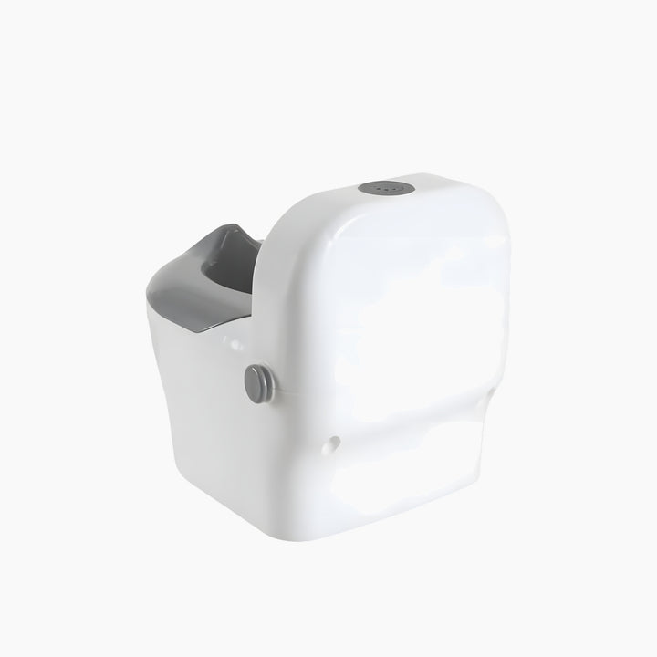 Babyjem Sound Potty Training Potty
