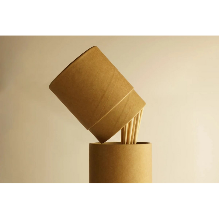 Ambientair The Olphactory Reed Diffuser