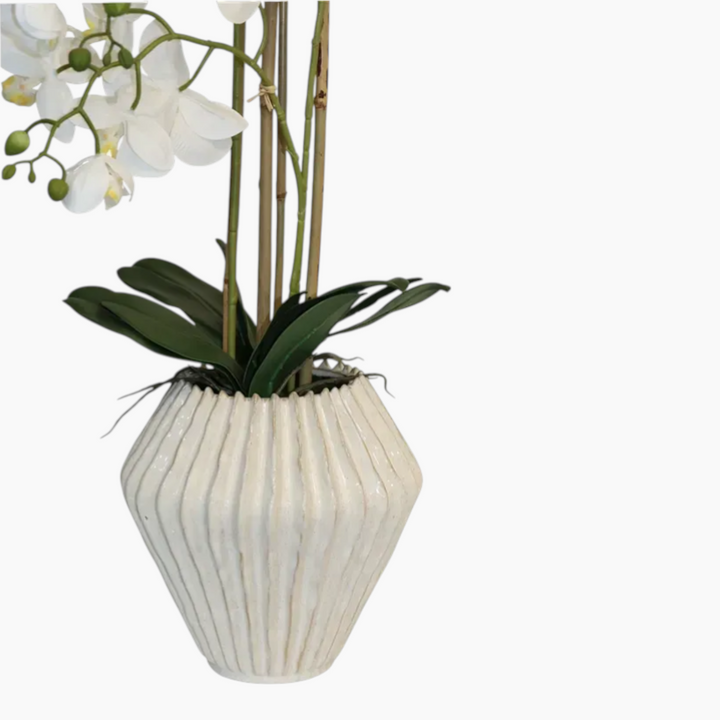 Nova Home Lunaria Phalaenopsis Arrangement