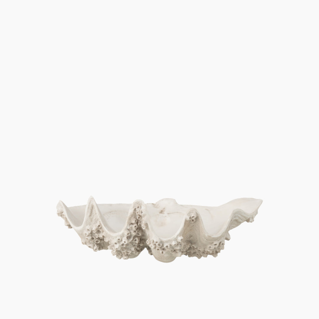 Seashell Bowl