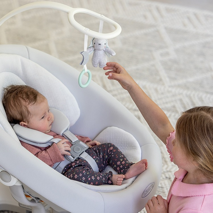 Graco Eluma Sway Baby Swing