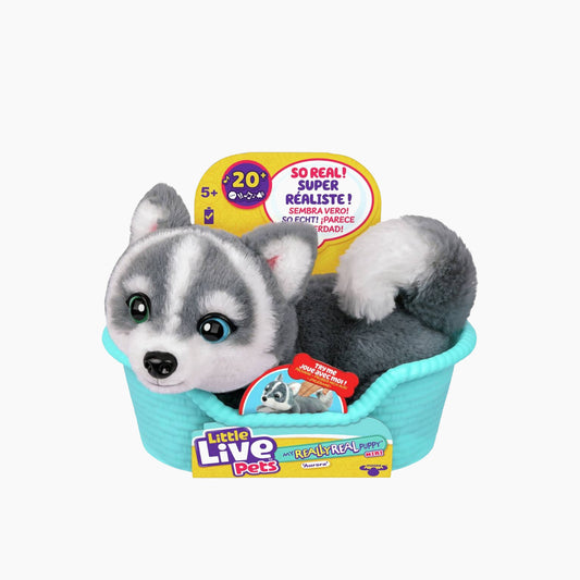 Little Live Pets My Really Real Puppy Mini- Aurora