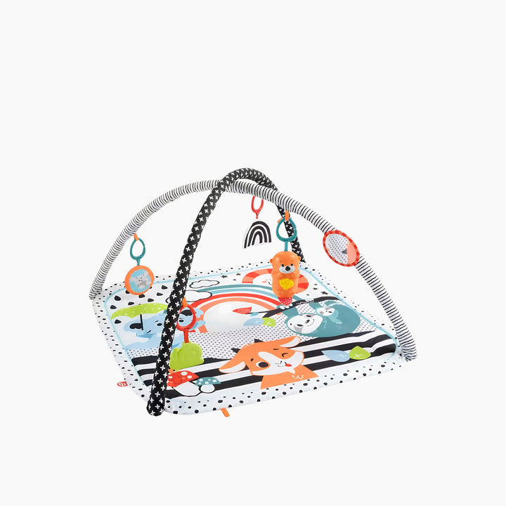 Fisher-Price 3-in-1 Glow and Grow Gym