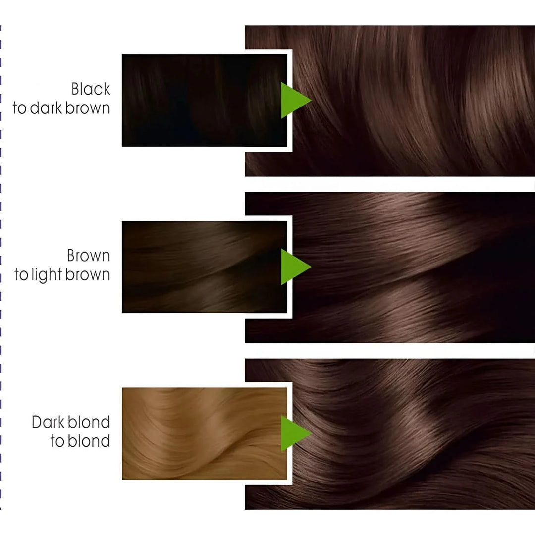 Garnier Color Naturals Hair Color