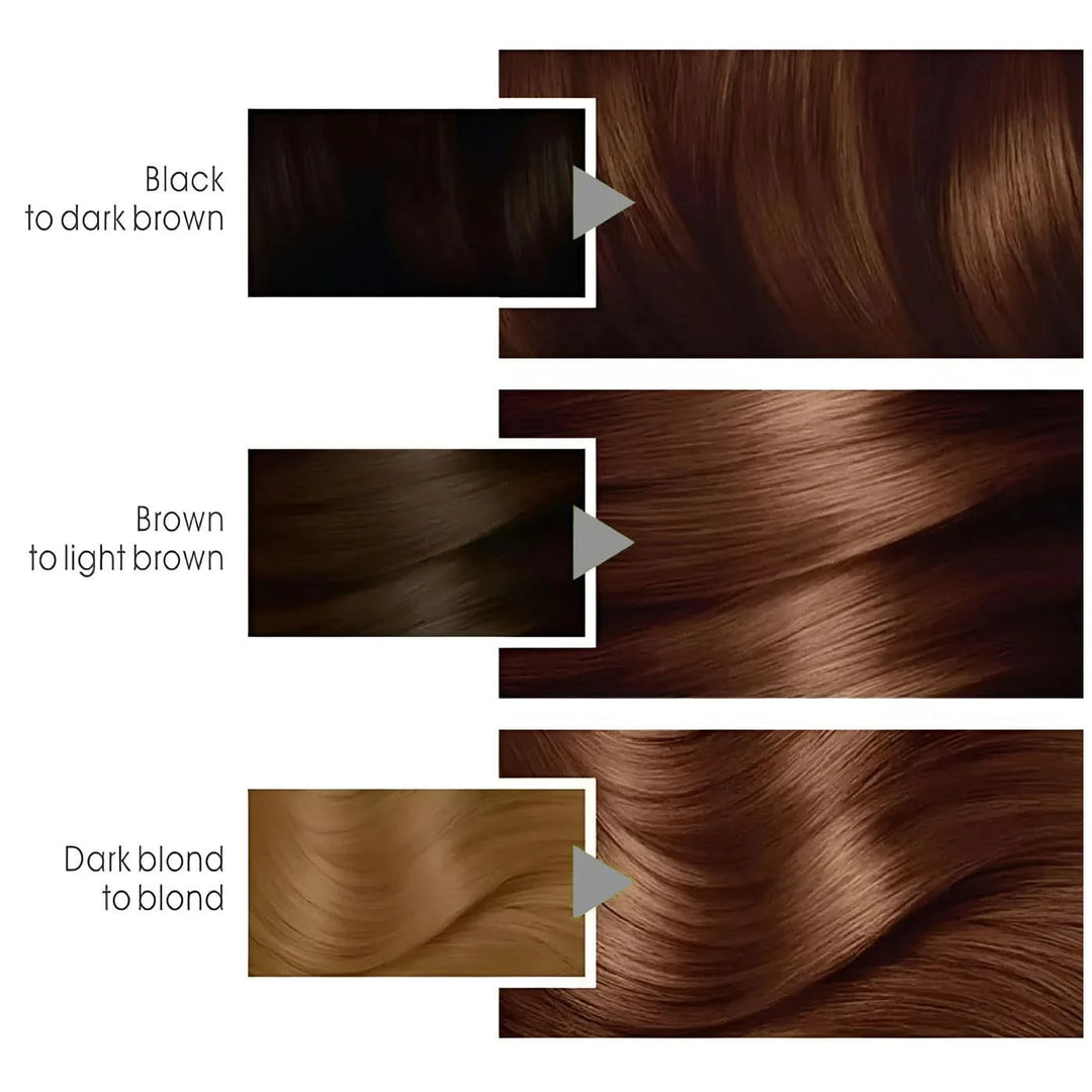 Garnier Color Naturals Hair Color