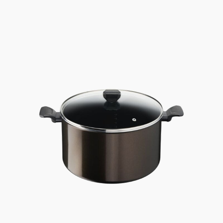 Tefal G6 Easy Cook And Clean Stockpot 30Cm