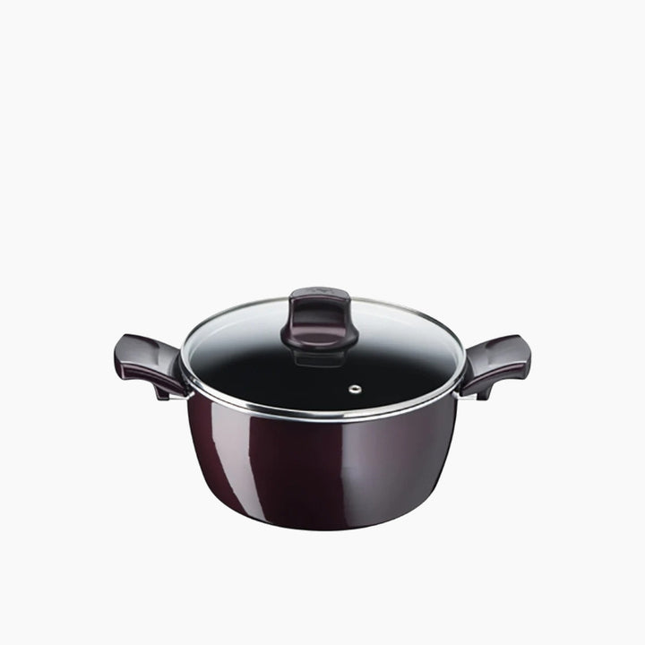 Tefal Resist Intense Stewpot - GlaStainless Steel With Lid