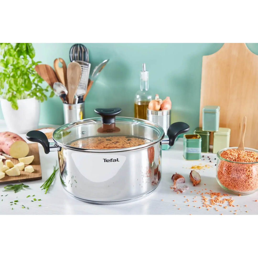 Tefal Primary Stainless Steel Stewpot