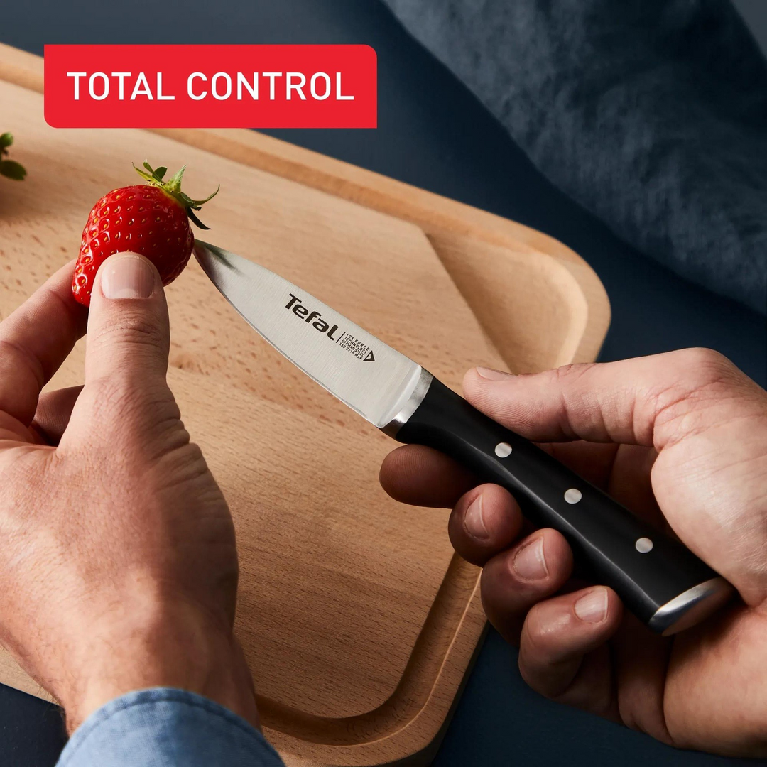 Tefal Ice Force Stainless Steel 4-Piece Knife Set