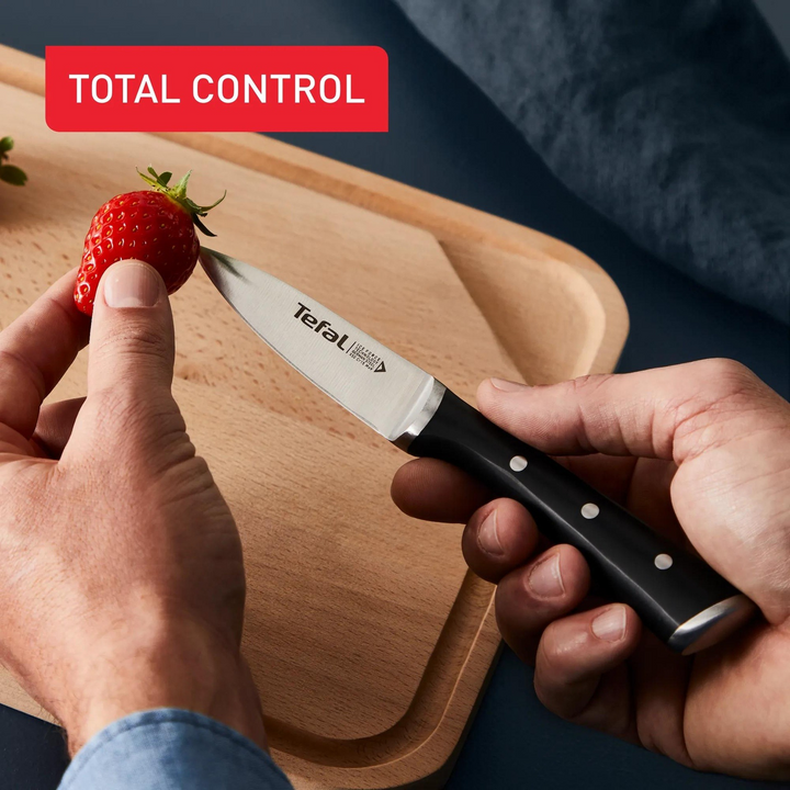 Tefal Ice Force Stainless Steel 4-Piece Knife Set