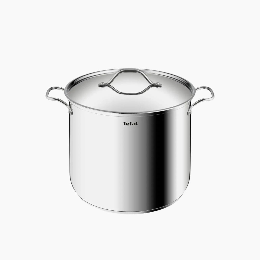 Tefal Intuition Stockpot 28