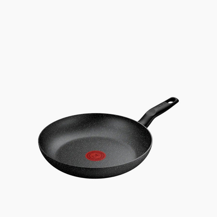 Tefal EStainless Steelential Dark Frypan