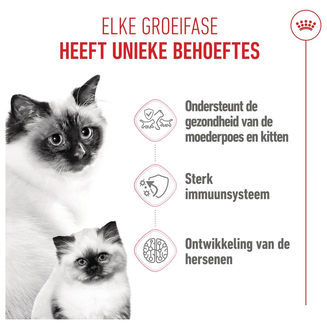 Royal Canin Fhn Mother &amp; Baby Cat - HUNA