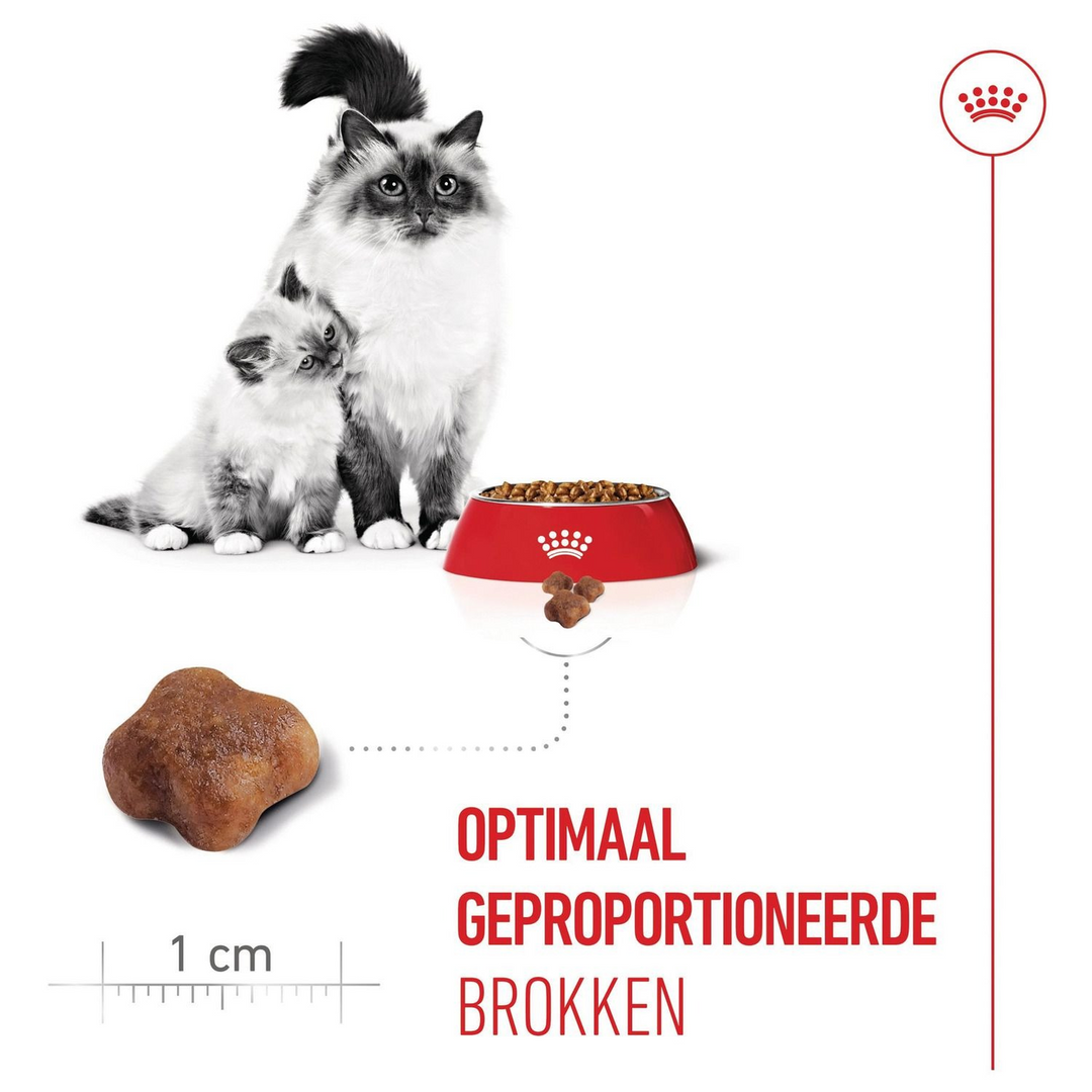 Royal Canin Fhn Mother &amp; Baby Cat - HUNA