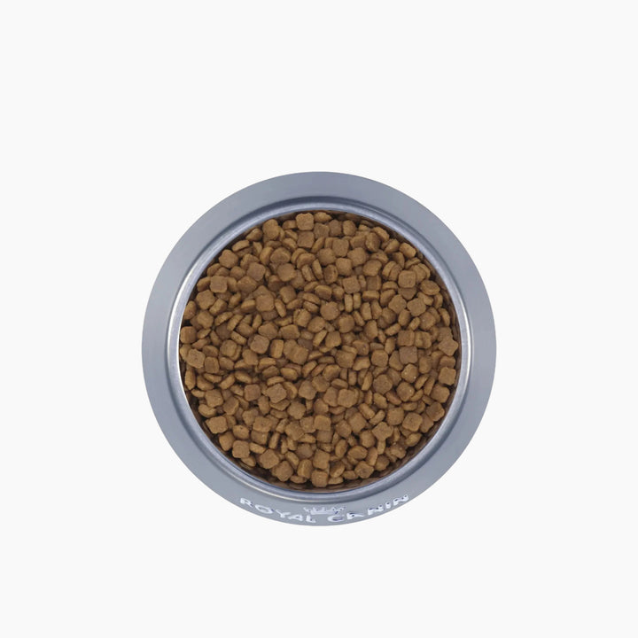 Royal Canin Fhn Pro Mother &amp; Baby Cat 10 kg