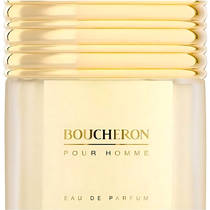 Boucheron Pour Homme 100ml Eau de Parfum for men