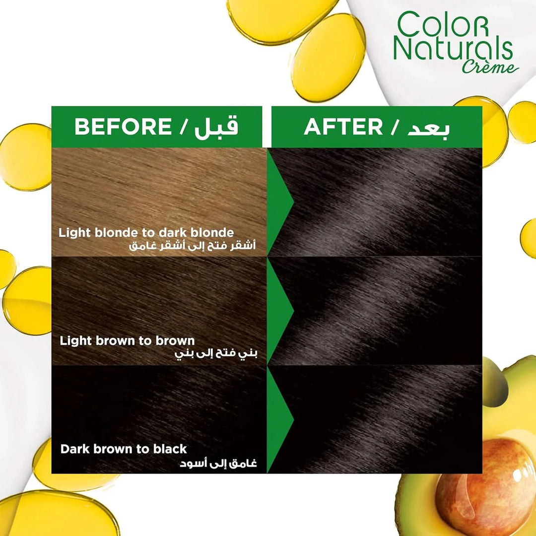 Garnier Color Naturals Hair Color