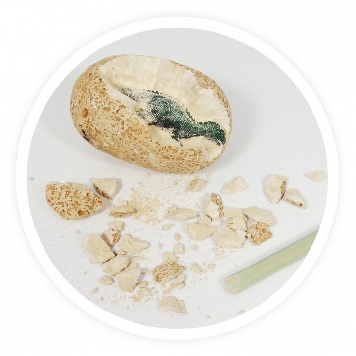 Buki Dino Eggs