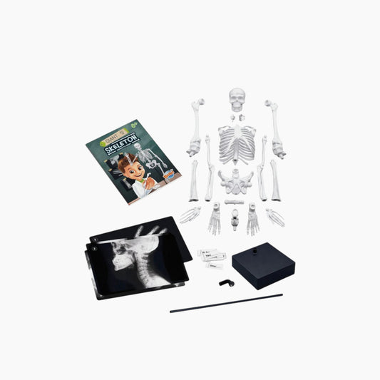 Buki Skeleton Model