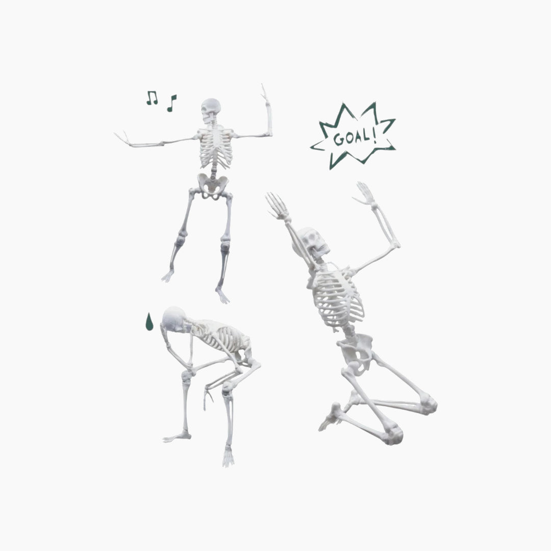 نموذج هيكل عظمي بوكي
