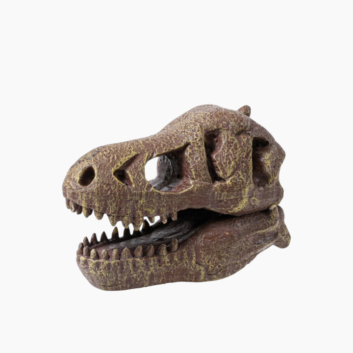 Buki Tyrannosaurus Dinosaur Skull - HUNA