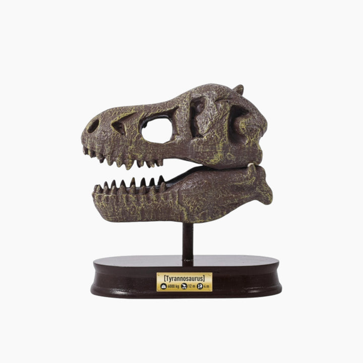 Buki Tyrannosaurus Dinosaur Skull - HUNA