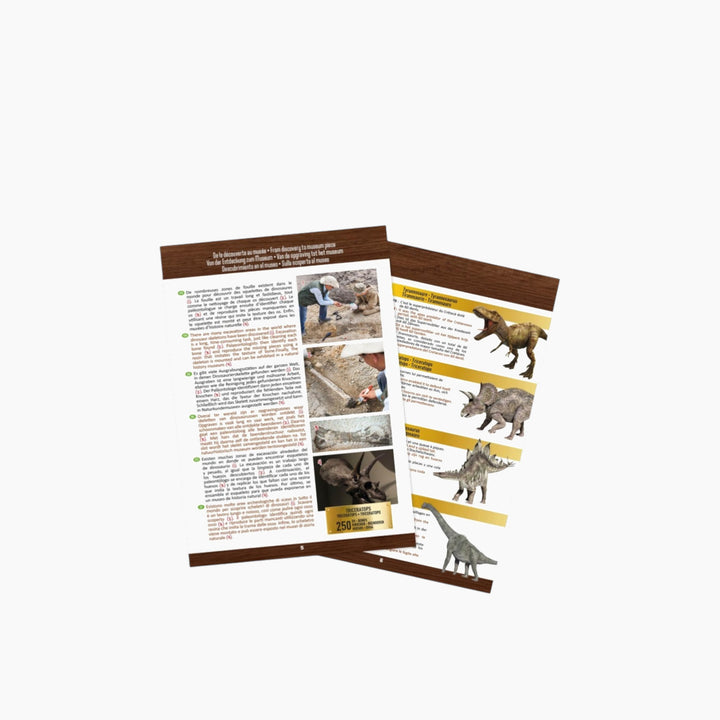 Buki Tyrannosaurus Dinosaur Skull - HUNA