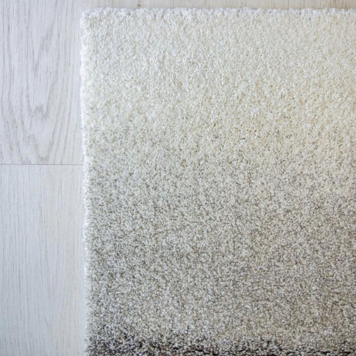 Spazio Home Monochrome Gradient Area Rug