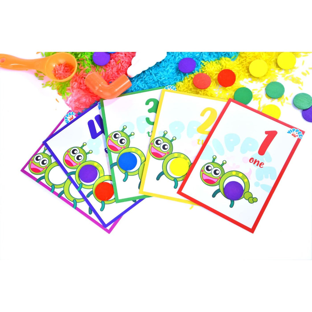 Montessori Worm Kit