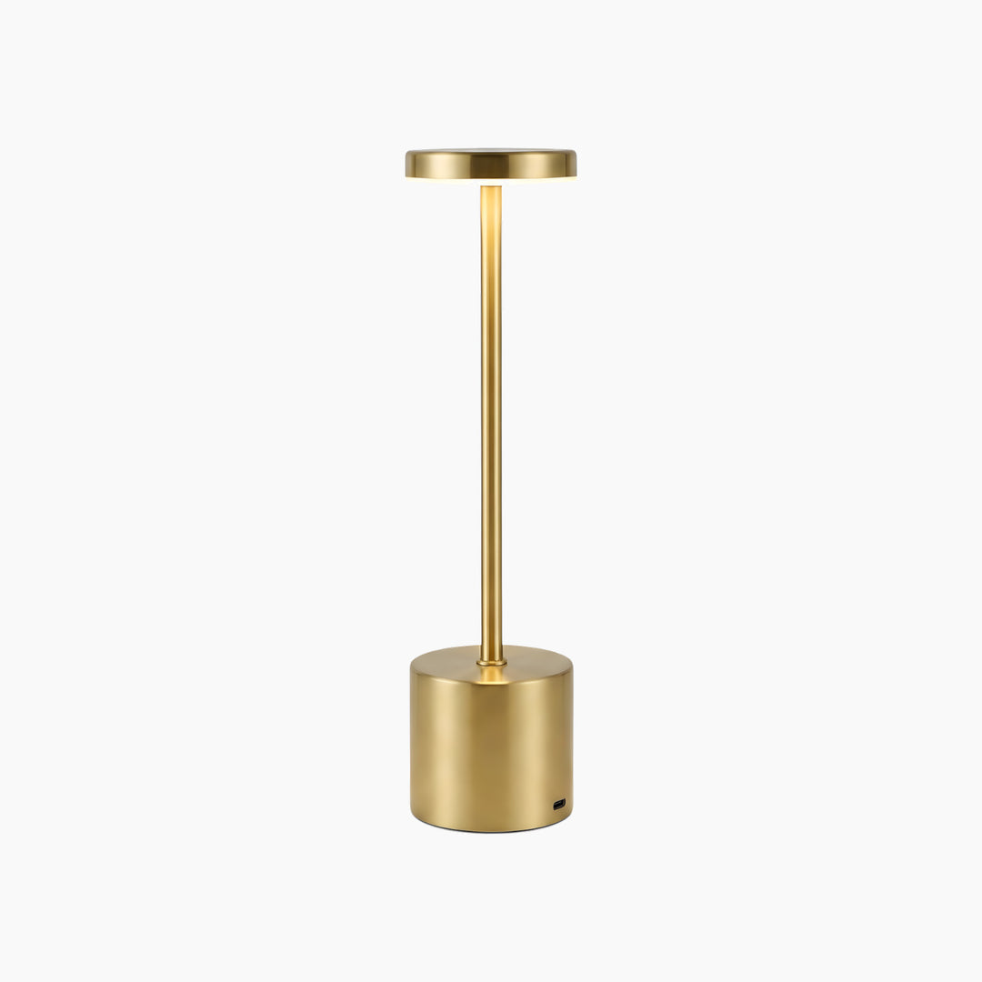 Necessary Light Modern Minimalist LED Table Lamp