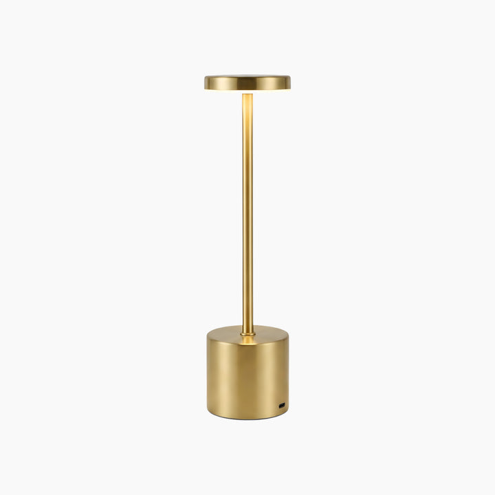 Necessary Light Modern Minimalist LED Table Lamp