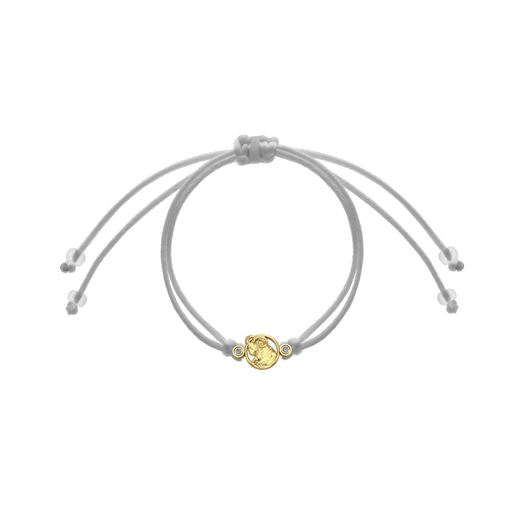 Product Image-3