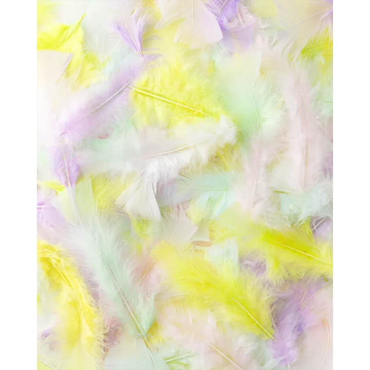 Folia Soft Fleece Feathers - 10 g