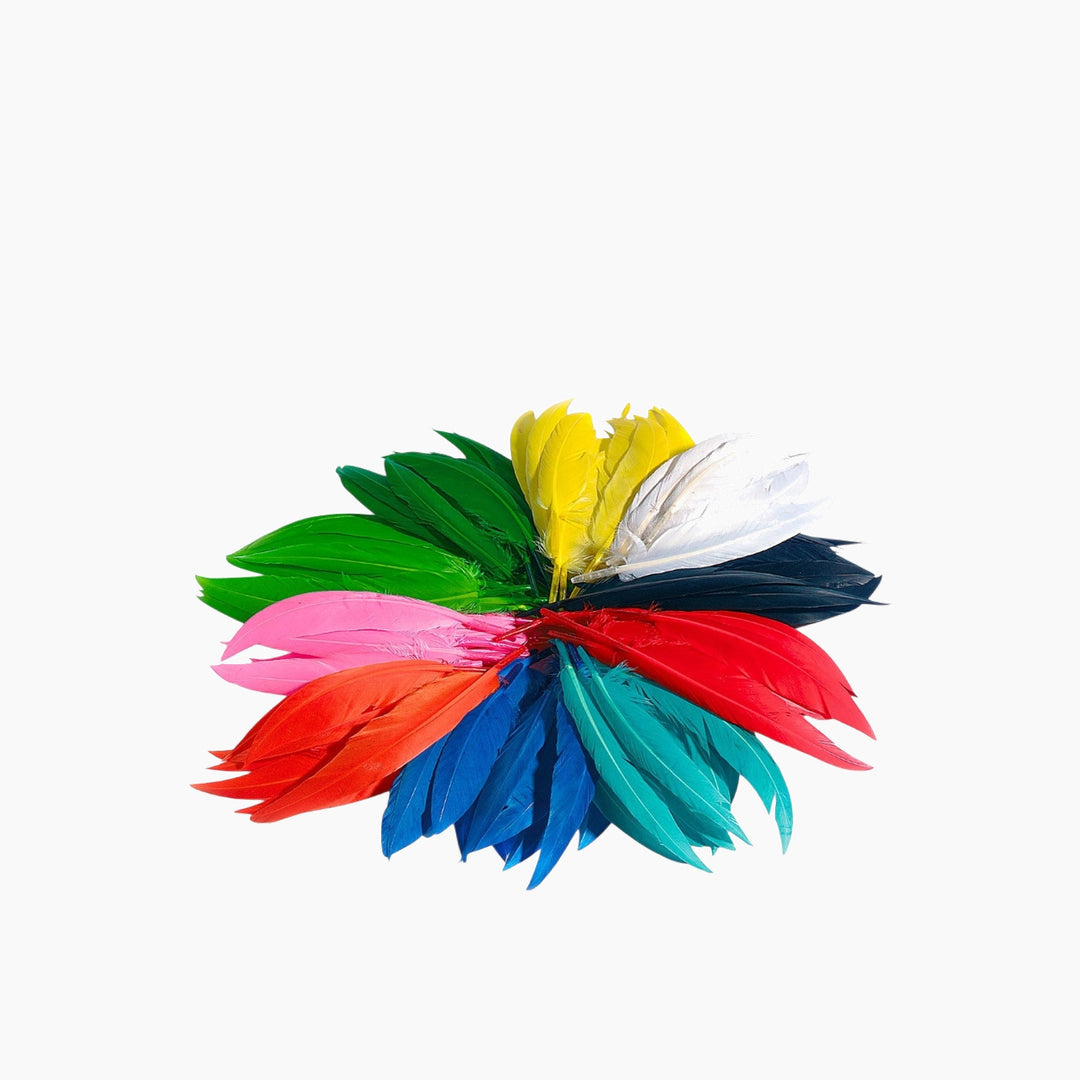 Folia Coloured Craft Feathers Mix – 10 g, Assorted Colours