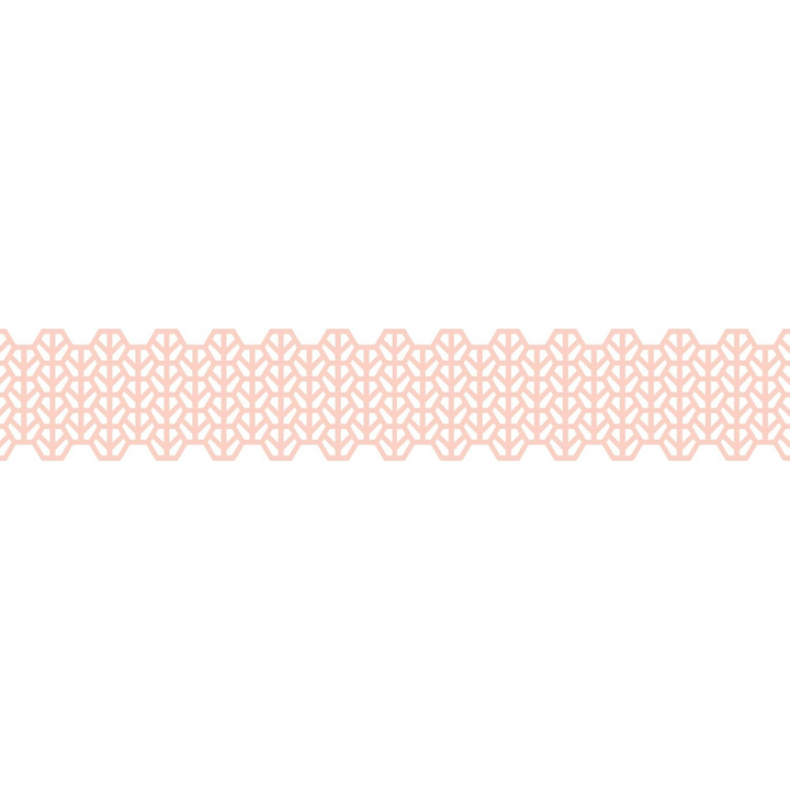 Folia Rose/Silver Washi Lace Tape Set – 2 Rolls, 25 mm x 5 m