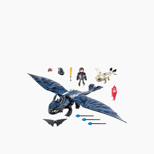 Playmobil Hiccup and Toothless Playset